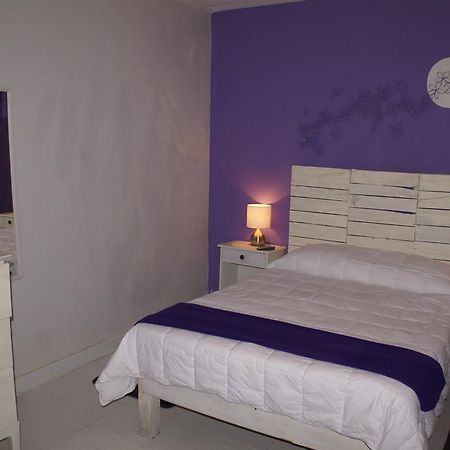 Hotelitto San Miguel San Miguel de Allende Kültér fotó
