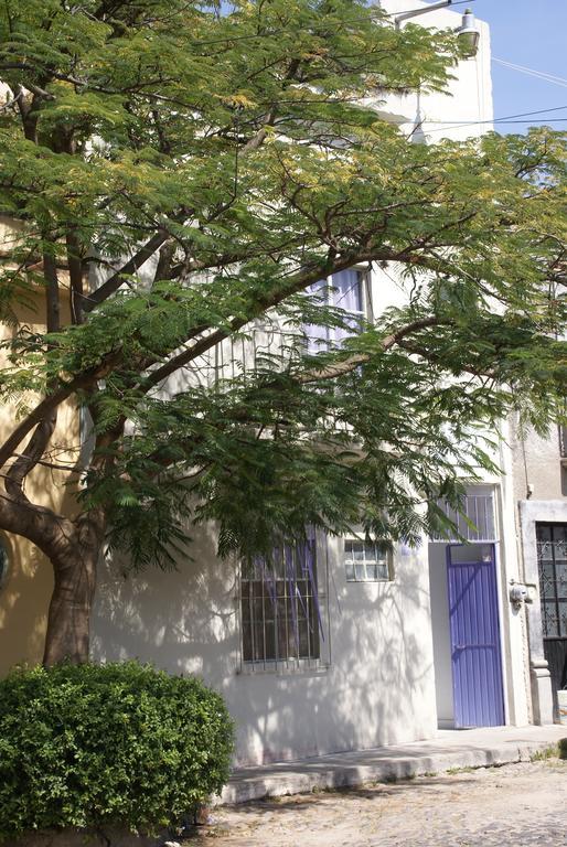 Hotelitto San Miguel San Miguel de Allende Kültér fotó
